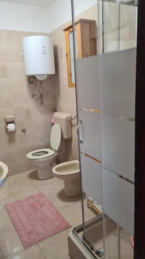 Apartment Biondic スタリー・グラード エクステリア 写真